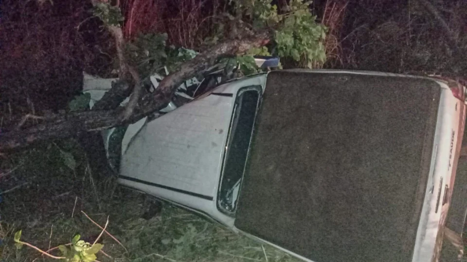 TO: grávida morre em acidente após caminhonete bater em árvore na BR-226