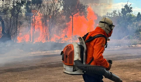 Vídeo: incêndio de grande proporção destrói vegetação em Palmas