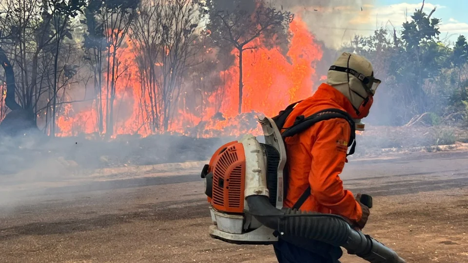 Vídeo: incêndio de grande proporção destrói vegetação em Palmas