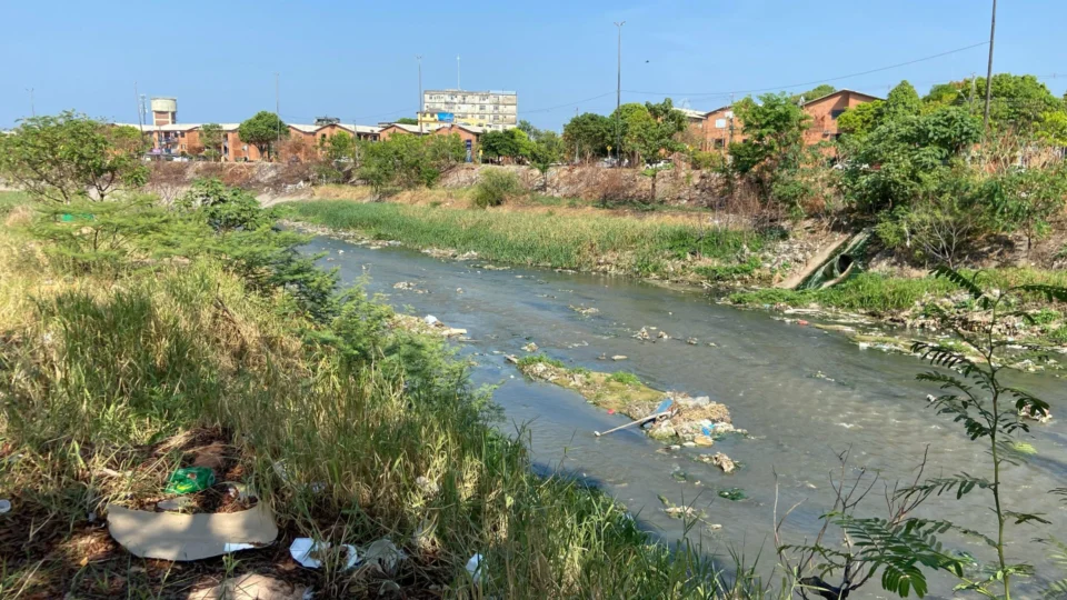 Projeto de Lei inclui igarapés nas Áreas de Preservação Permanente  