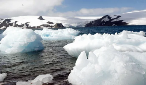 Nível de gelo marinho na Antártida registra baixa histórica