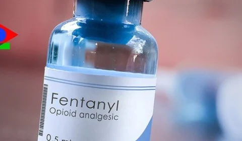 Quatro pessoas são presas por produzirem drogas dentro de creche em NY