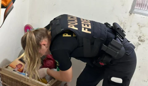 Operação da PF em Manaus prende homem com material de abuso infantojuvenil