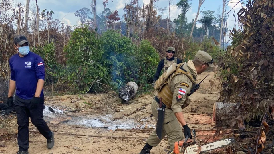 Operação no AM resulta em mais de R$ 10 milhões de multas em crimes ambientais