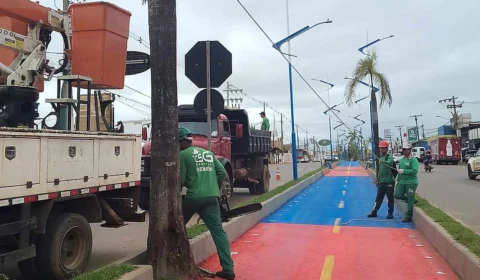 Prefeitura de Rio Branco esclarece derrubada de palmeiras na via Chico Mendes