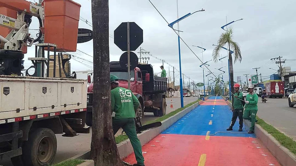 Prefeitura de Rio Branco esclarece derrubada de palmeiras na via Chico Mendes