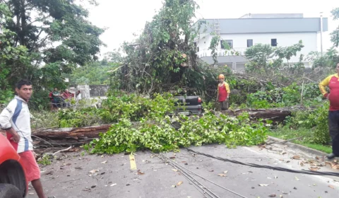 Postes e árvores caem em bairro de Manaus e locais ficam sem energia
