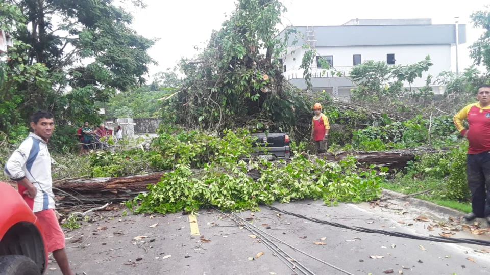 Postes e árvores caem em bairro de Manaus e locais ficam sem energia