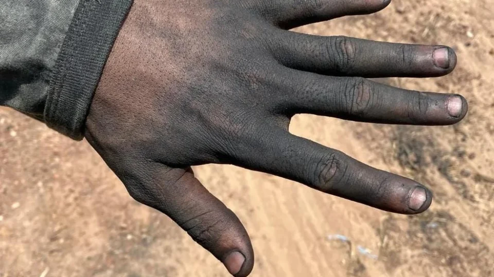 Sete pessoas são resgatados em condições análogas à escravidão no TO