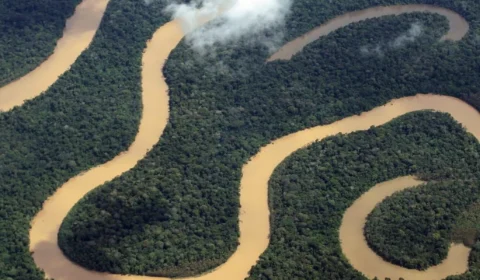 Prorrogado edital para habilitar agentes de serviços ambientais no AM