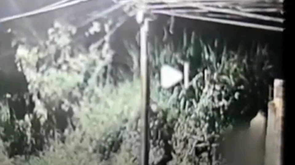 Vídeo: suspeito de matar dois PMs recebe ajuda para fugir em PE