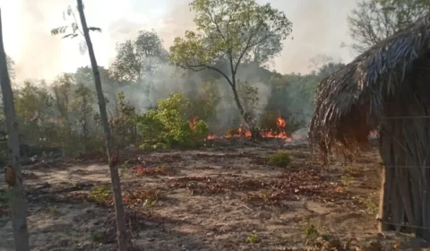Território Quilombola Rio Preto é alvo de ataques em Lagoa do Tocantins