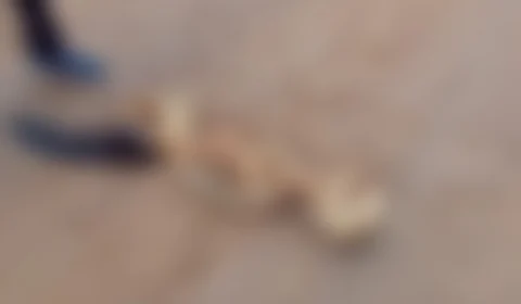 Ossada humana é encontrada na praia da Ponta Negra, em Manaus