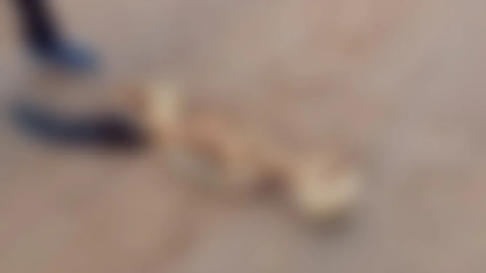 Ossada humana é encontrada na praia da Ponta Negra, em Manaus