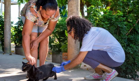 Prefeitura inicia vacinação antirrábica na zona Rural de Boa Vista