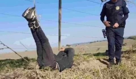 Vaqueiro laça e pendura em árvore homem suspeito de furto em SP