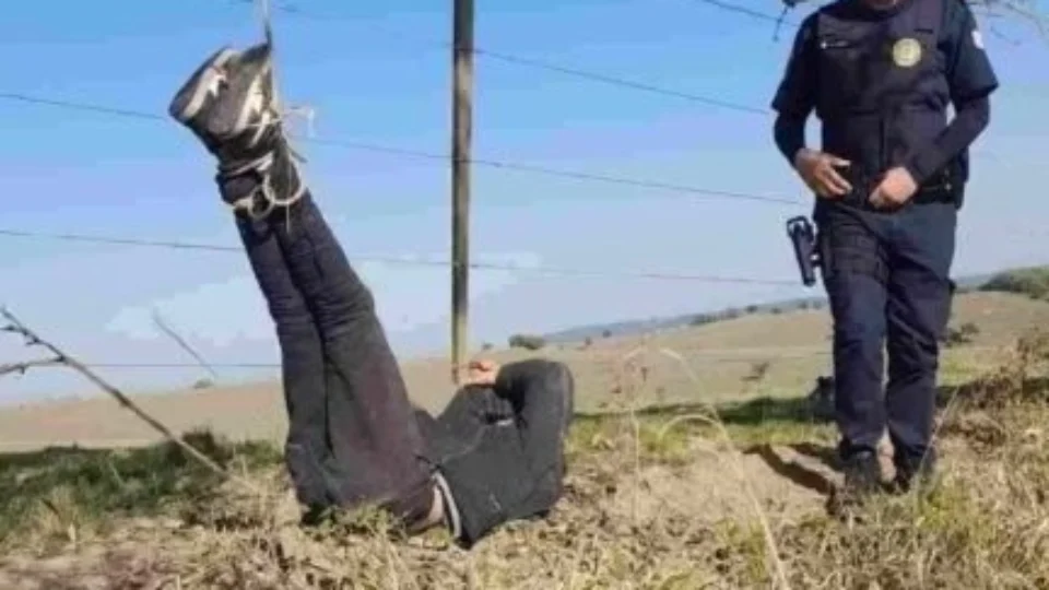 Vaqueiro laça e pendura em árvore homem suspeito de furto em SP