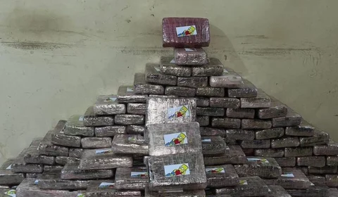 Homens são presos com quase 250 kg de skank, em RR