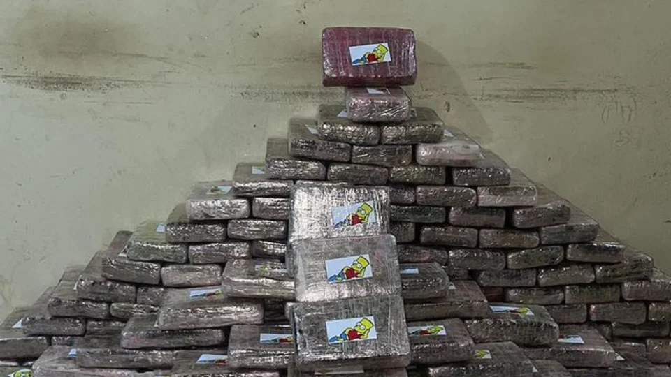 Homens são presos com quase 250 kg de skank, em RR