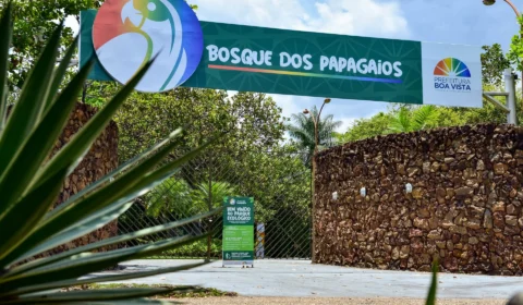 Bosque dos Papagaios recebe programação ecológica neste sábado em RR