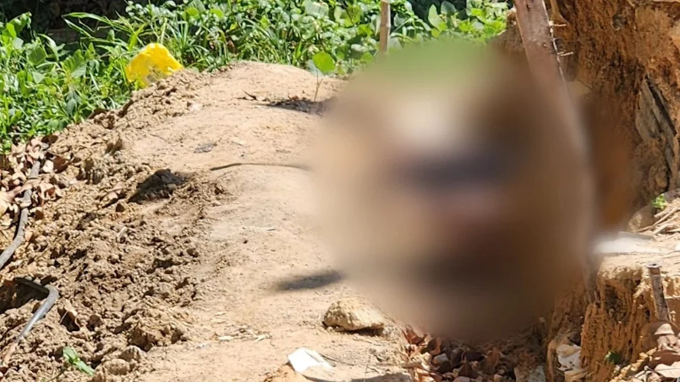 VÍDEO: corpo com marcas de tiros é encontrado em vala na Zona Norte de Manaus