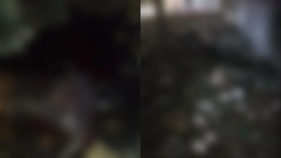 VÍDEO: corpo de homem é encontrado em fábrica abandonada no Centro de Manaus