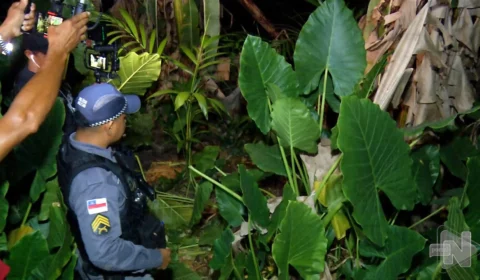 VÍDEO: desaparecido há três dias é encontrado morto em área de mata de Manaus