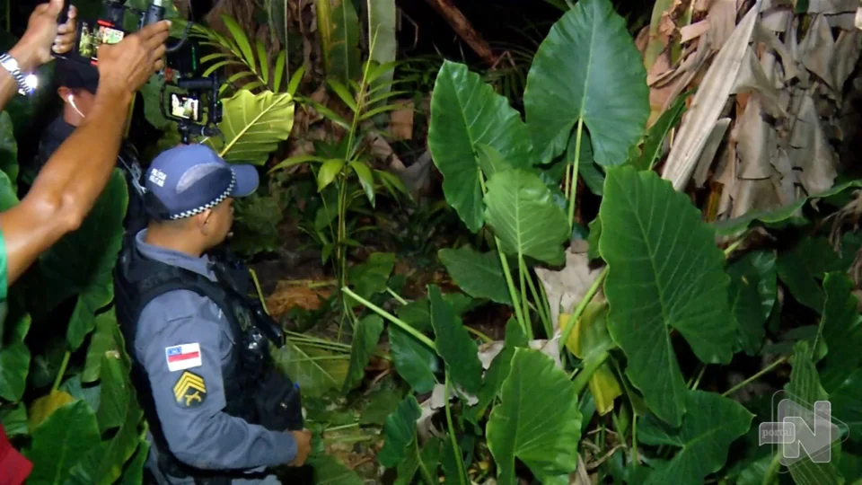 VÍDEO: desaparecido há três dias é encontrado morto em área de mata de Manaus