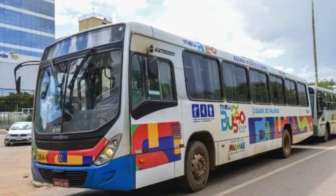 17° Festival Gastronômico de Taquaruçu terá linha especial de ônibus no TO