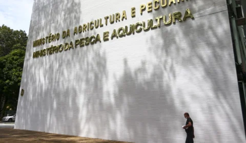 Após caso de gripe aviária, Japão suspende importação de frango e ovos do MS