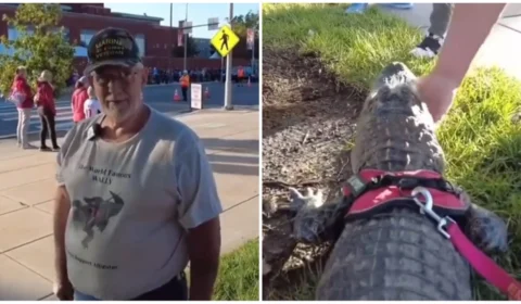 Homem é barrado ao entrar com jacaré de ‘apoio emocional’ em estádio nos EUA