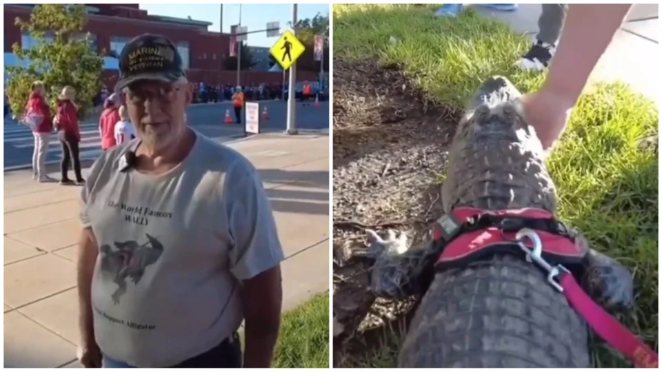Homem é barrado ao entrar com jacaré de ‘apoio emocional’ em estádio nos EUA