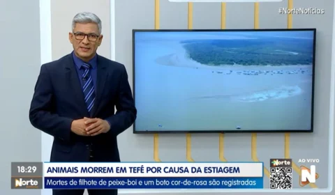 VÍDEO: assista à íntegra do Jornal Norte Notícias 25 de setembro