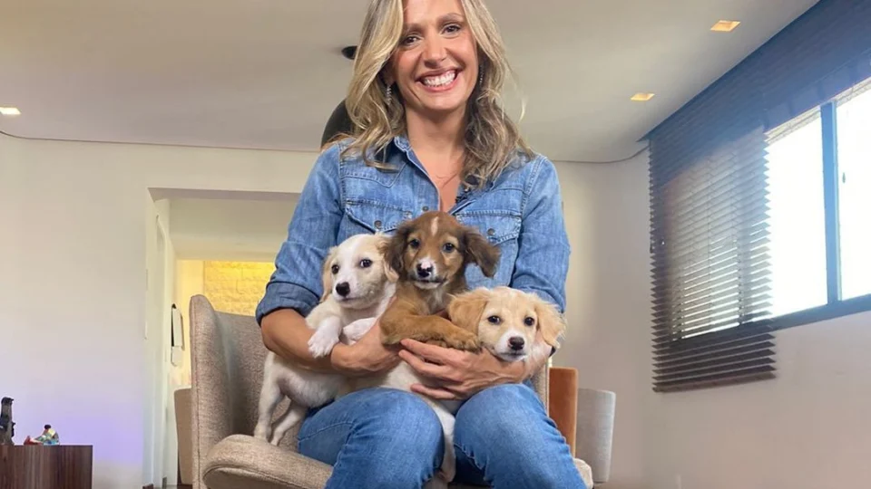 Luisa Mell é condenada em R$ 20 mil por invadir casa e pegar pets