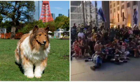 Pessoas que se identificam como ‘cachorros’ protestam por direitos em Berlim