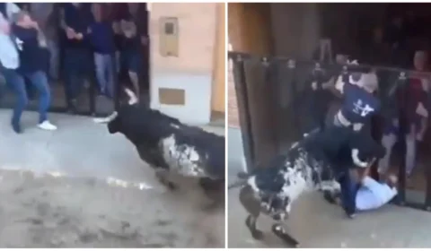 VÍDEO: empreendedor morre perfurado por chifre em tourada na Espanha