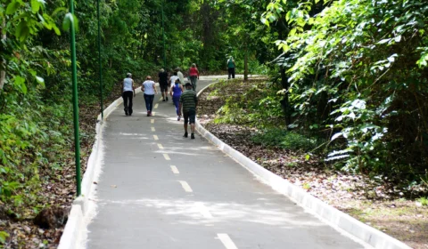 Onde ir em Palmas durante o dia? Descubra 13 pontos turísticos da capital mais jovem do país