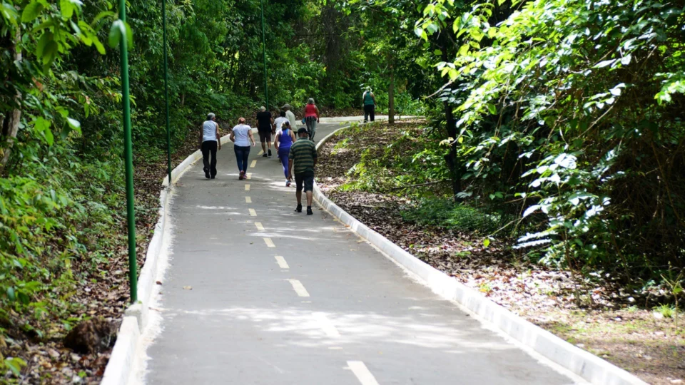 Onde ir em Palmas durante o dia? Descubra 13 pontos turísticos da capital mais jovem do país