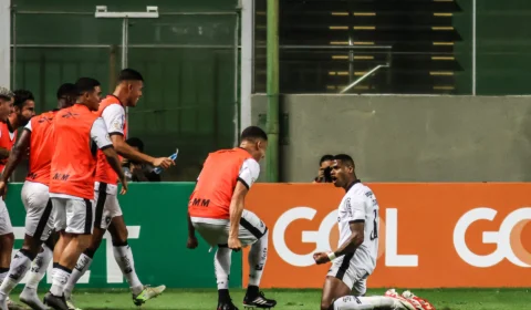 Botafogo vence América-MG e segue disparado no Brasileirão 