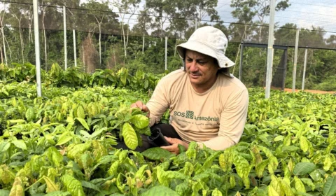 TV Norte Acre estreia programa voltado para o agronegócio