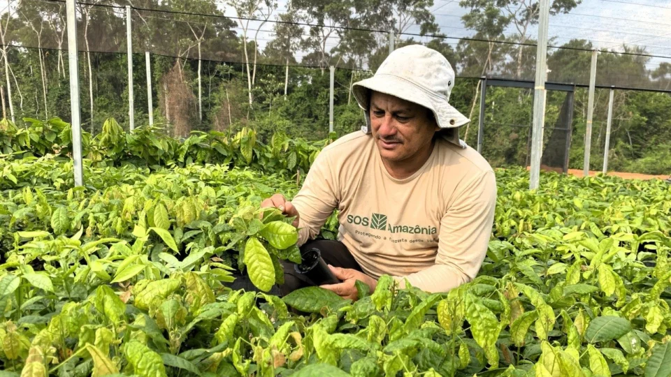 TV Norte Acre estreia programa voltado para o agronegócio