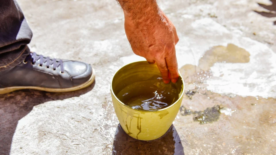 Dengue: dois municípios de Roraima estão em alerta para epidemia