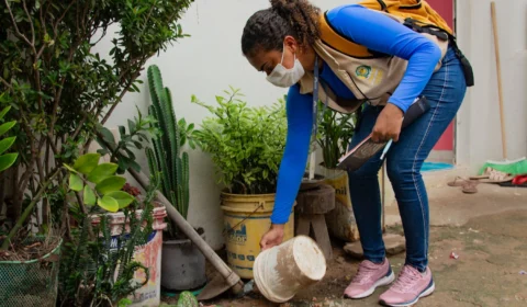 Índice de infestação do mosquito da dengue diminui em Boa Vista