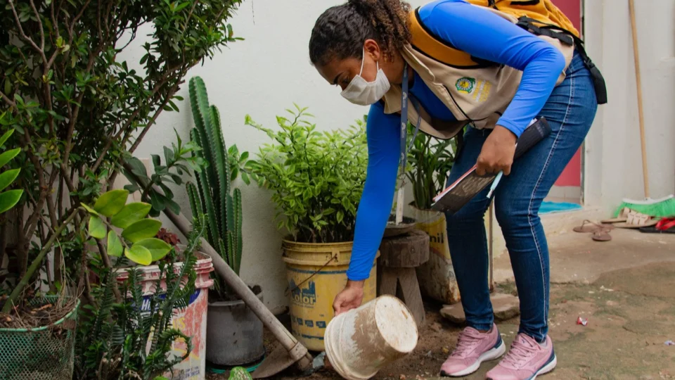 Índice de infestação do mosquito da dengue diminui em Boa Vista