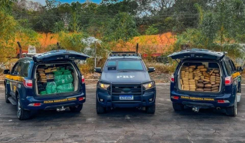 Homem é preso com mais de 600 kg de drogas na BR-319 no Amazonas