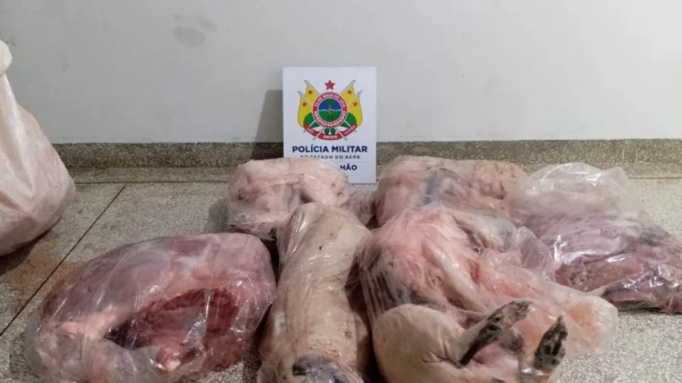 Homem é preso com 50 kg de carne de animais silvestres no interior do Acre