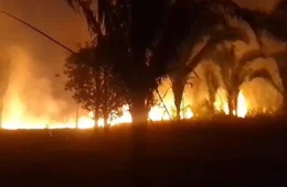 VÍDEO: incêndio invade zona rural de Manaquiri-AM