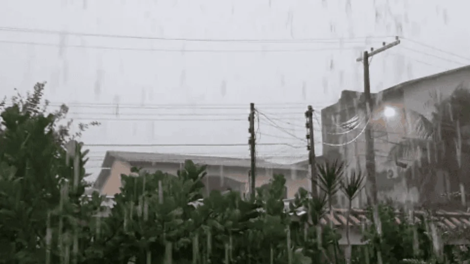 Manaus registra 16 ocorrências provocadas pela chuva nesta segunda (27)