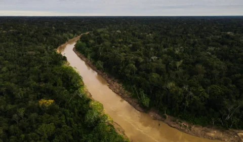 Acre reduz desmatamento em 59% em um ano, segundo Imazon