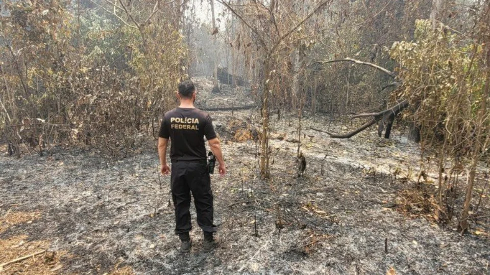 Dois homens são presos em flagrante por queimada ilegal em Manaus